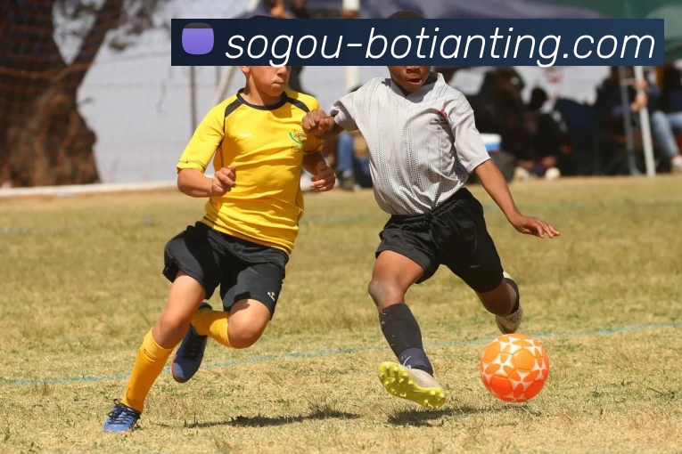 博天堂发展历程